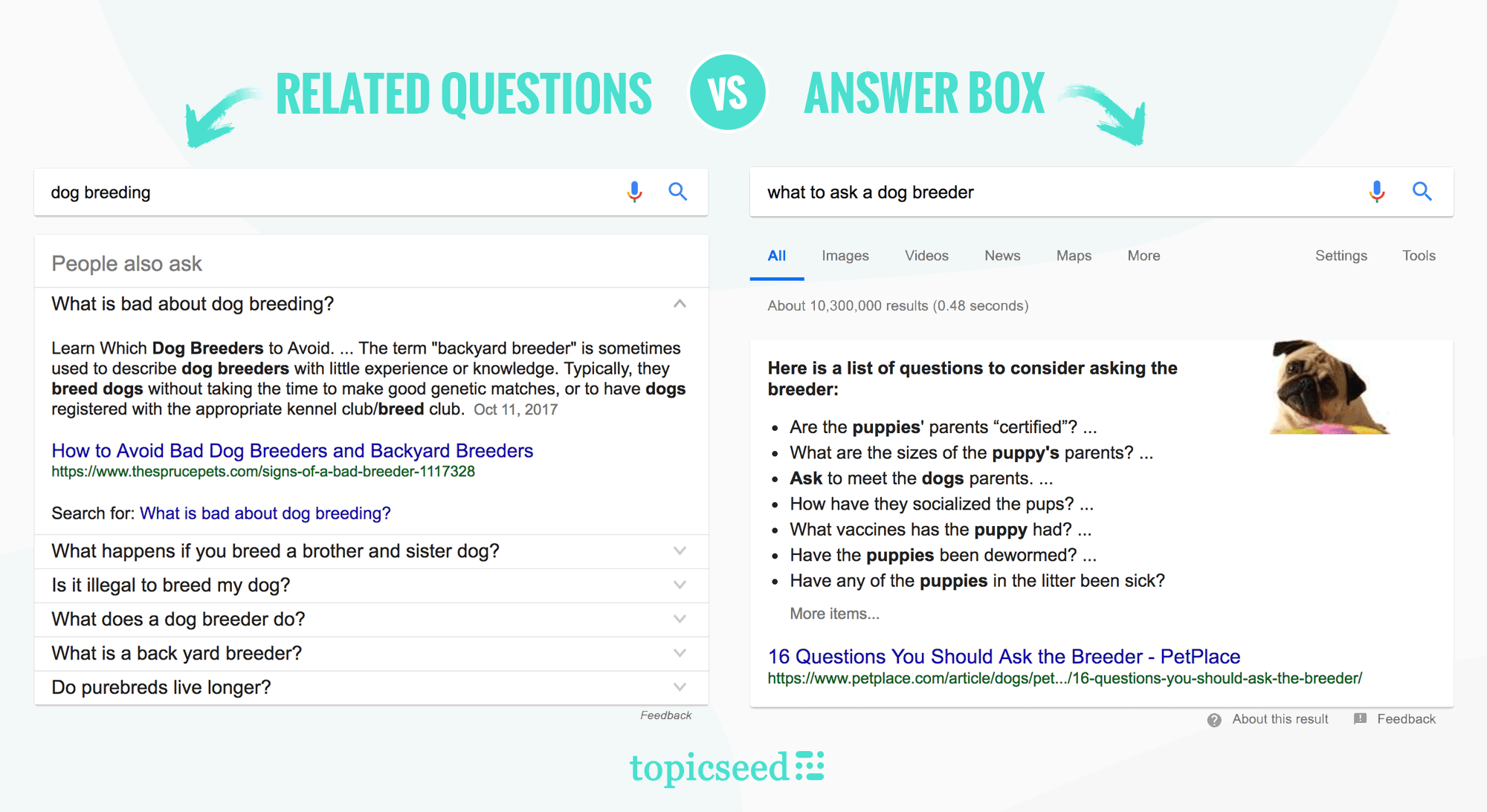 Example of “People also ask” and “Featured snippet” boxes on Google.